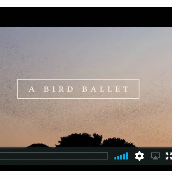 Maintaining Perspective