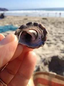 Notice the Little Things & Have a Ball!