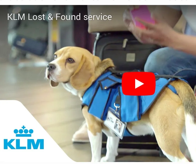 Creative Problem Solving