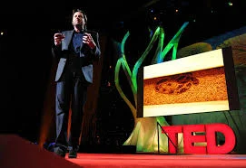 Creativity on steroids