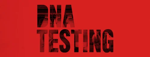 Beautiful view of Anonymous Dna Testing With No Contact Info