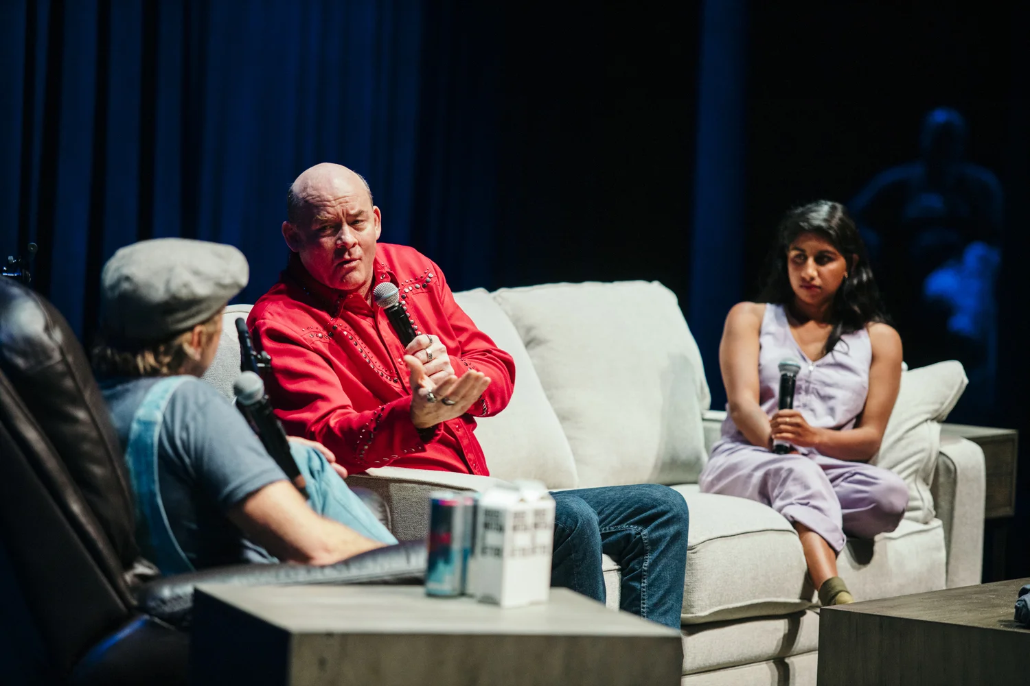 Armchair Expert Live 2021 Life Style Furnishings Comfy Cozy Skirted