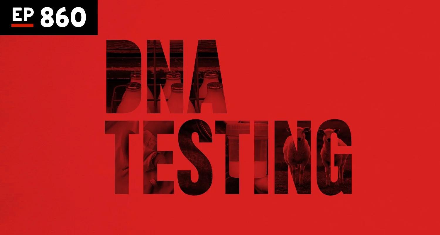 Armchair Anonymous: DNA Testing