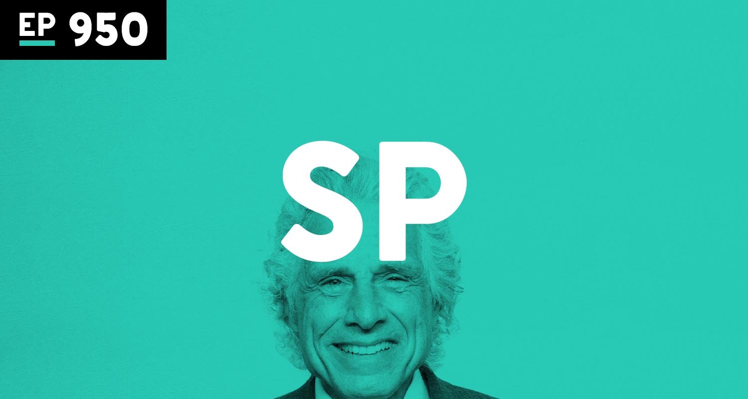 Steven Pinker Returns