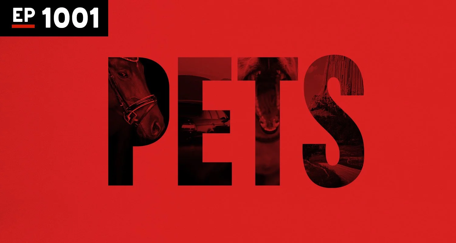 Armchair Anonymous: Pets