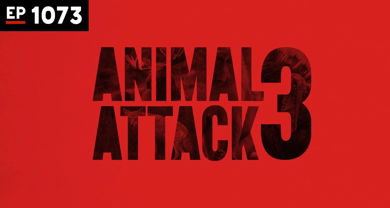 Armchair Anonymous: Animal Attack III
