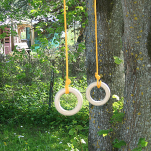Rings.png