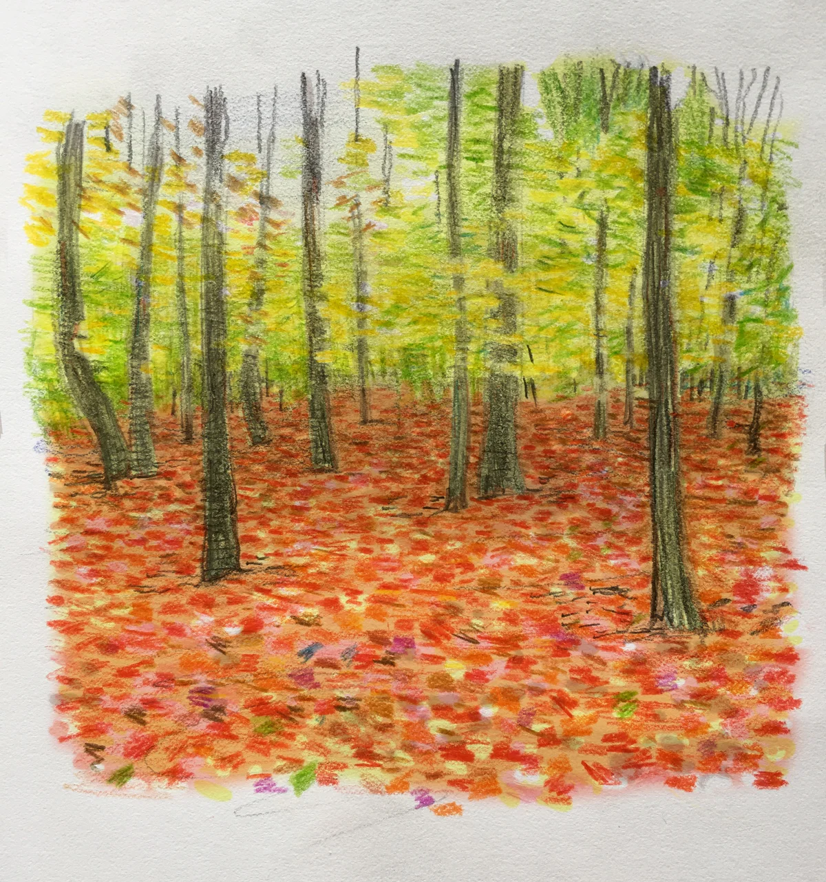 red-carpet-of-leaves.jpg