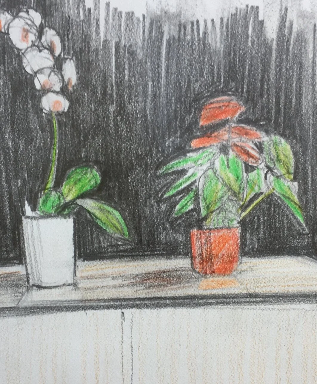 Flower Pots