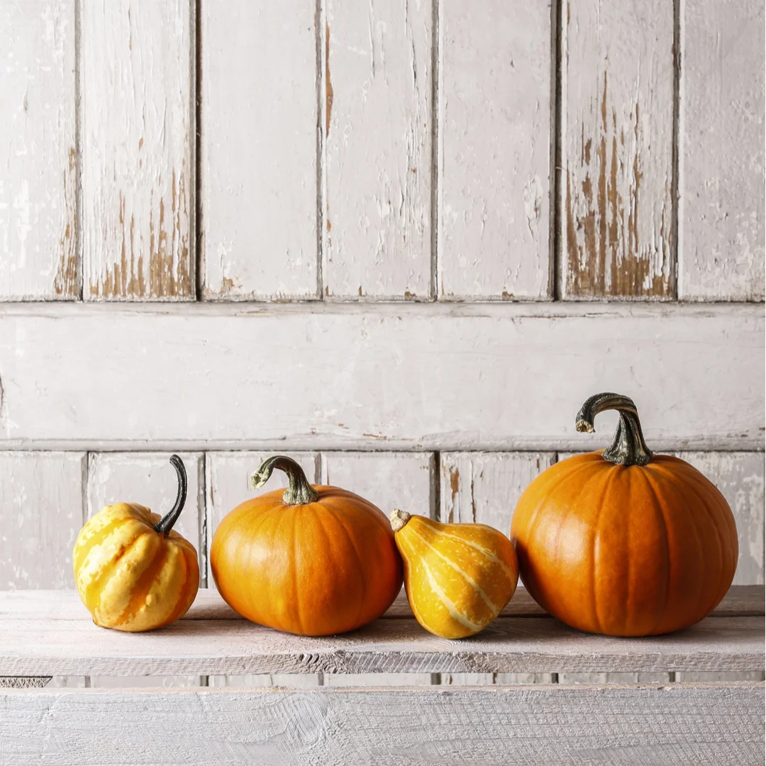 shutterstock_311908589 (1).jpg