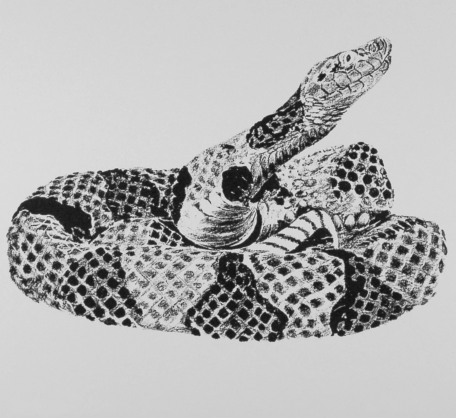 Osage Copperhead 1991, 1-color screenprint, sh: 21.75"x 29.75", ed:3. $850.