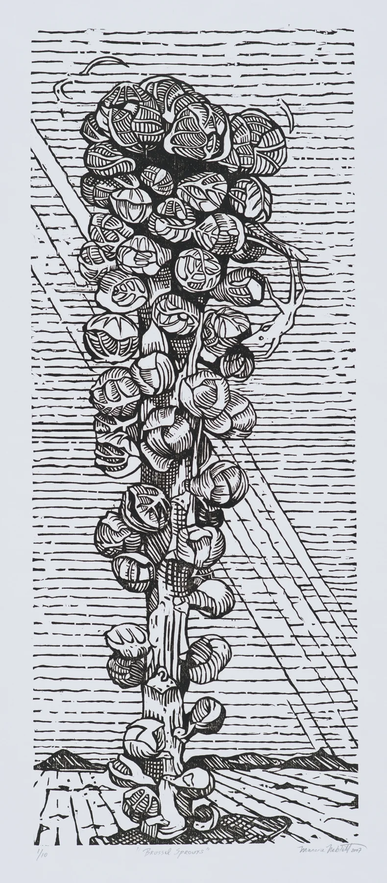 Brussel Sprouts 2007, woodcut, 37” x 19.25”, ed: 10, $500.*