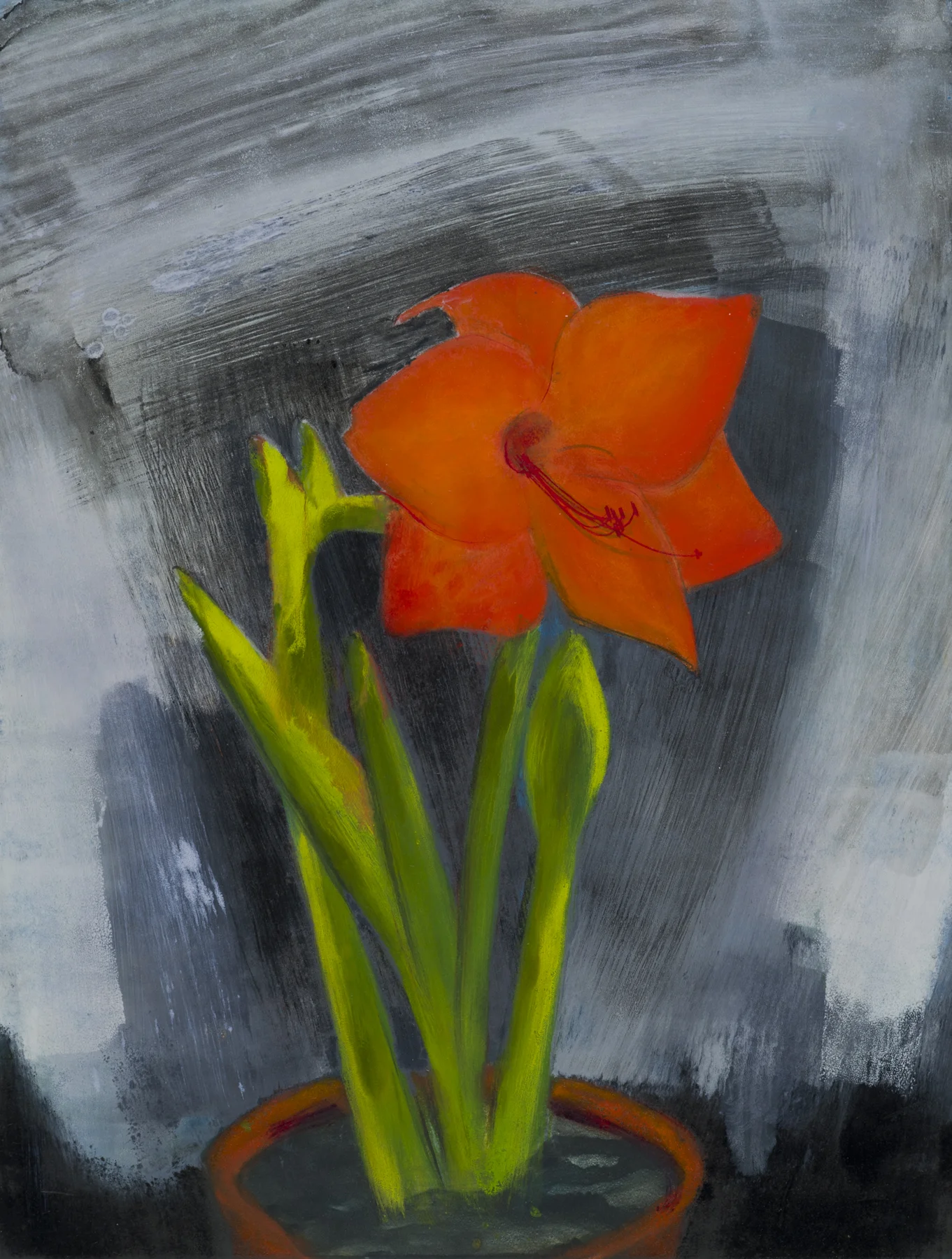 Amaryllis V 2005, monoprint, 29.75” x 22”, $1000.*