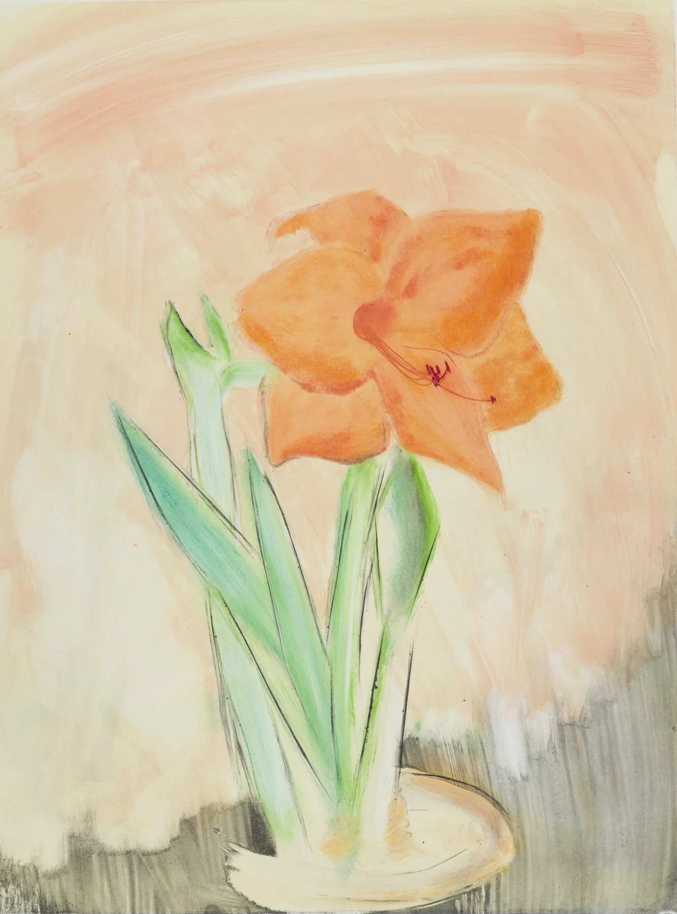 Amaryllis VII 2005, monoprint, 29.75” x 22”, $1000.*