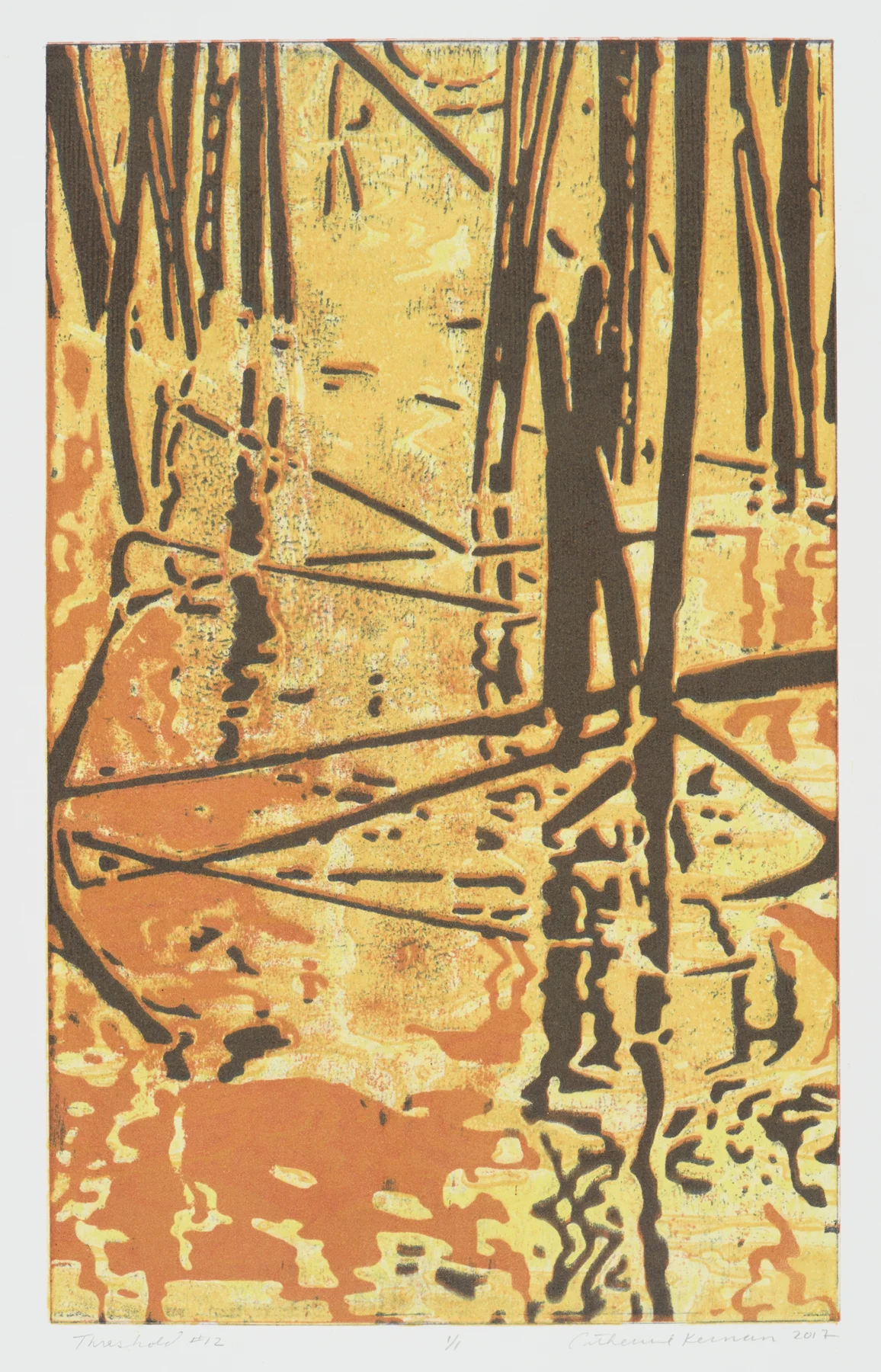 Threshold #12 2017, monoprint/woodcut, 21.75” x 15”, $825.*
