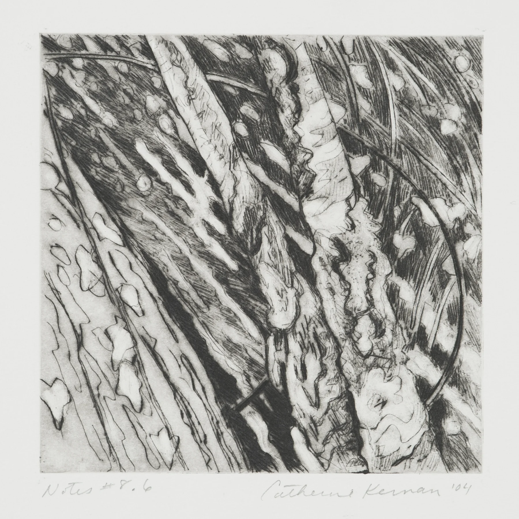 Notes # 8.6 2004, monoprint/drypoint, 9" x 8”, $200.*