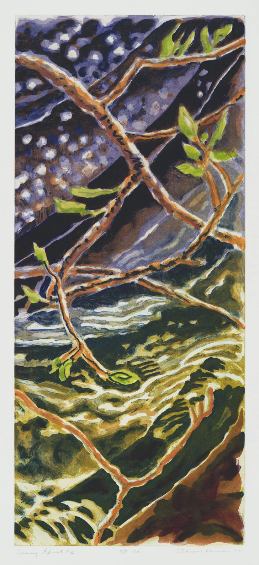Spring Flush #2 2002, intaglio/woodcut, 30" x 17", var.ed: 8, $750.*