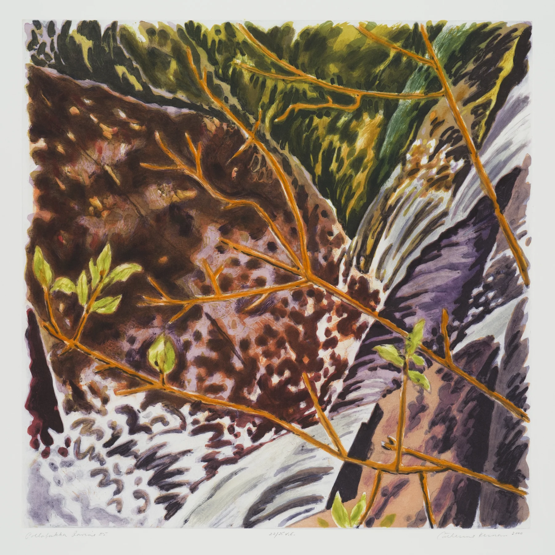 Pollafukka Ravine #5 2000, intaglio/woodcut, 36" x 31.5", var.ed: 25, $1600.*