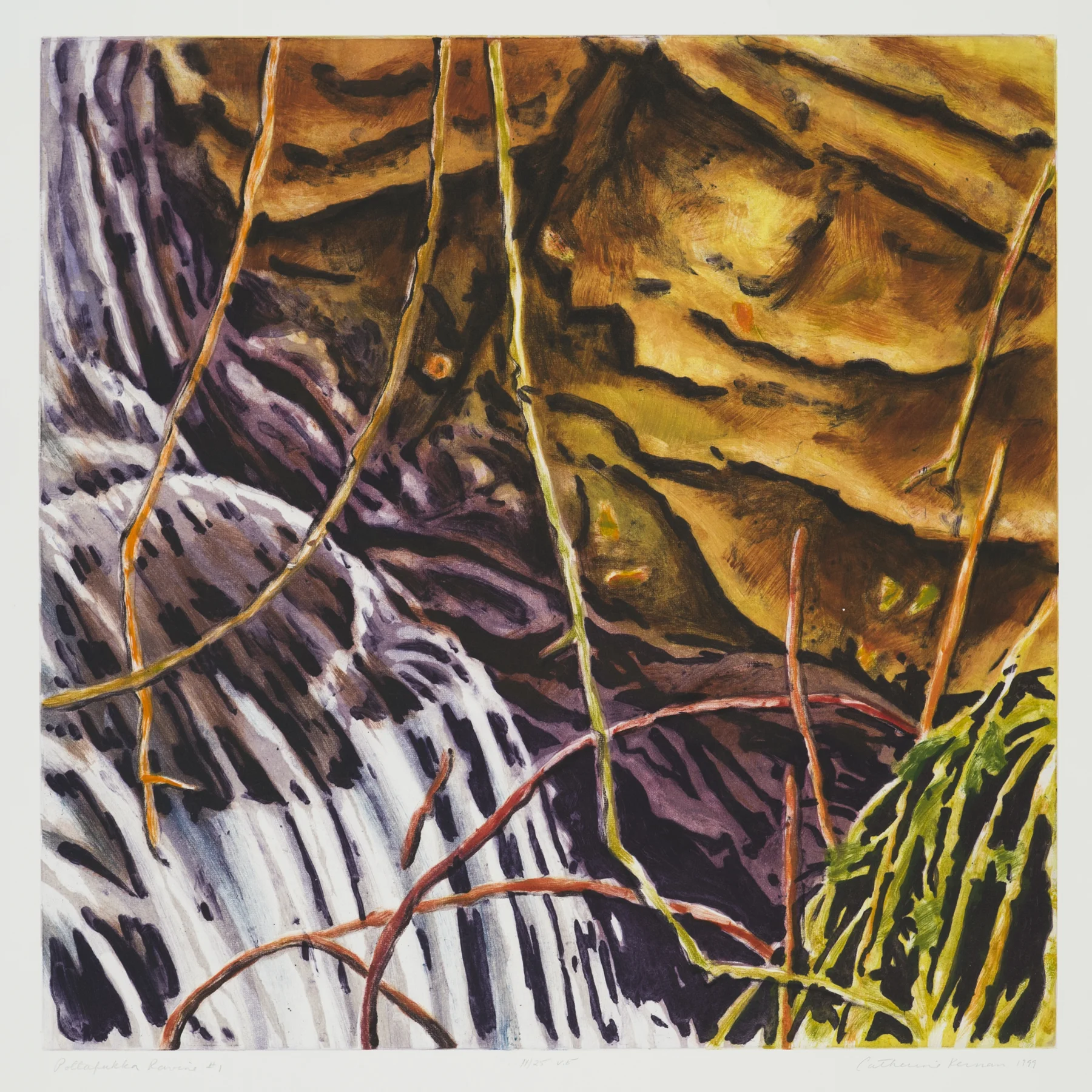 Pollafukka Ravine #1 1999, intaglio/woodcut, 36" x 31.5", var.ed: 25, $1600.*