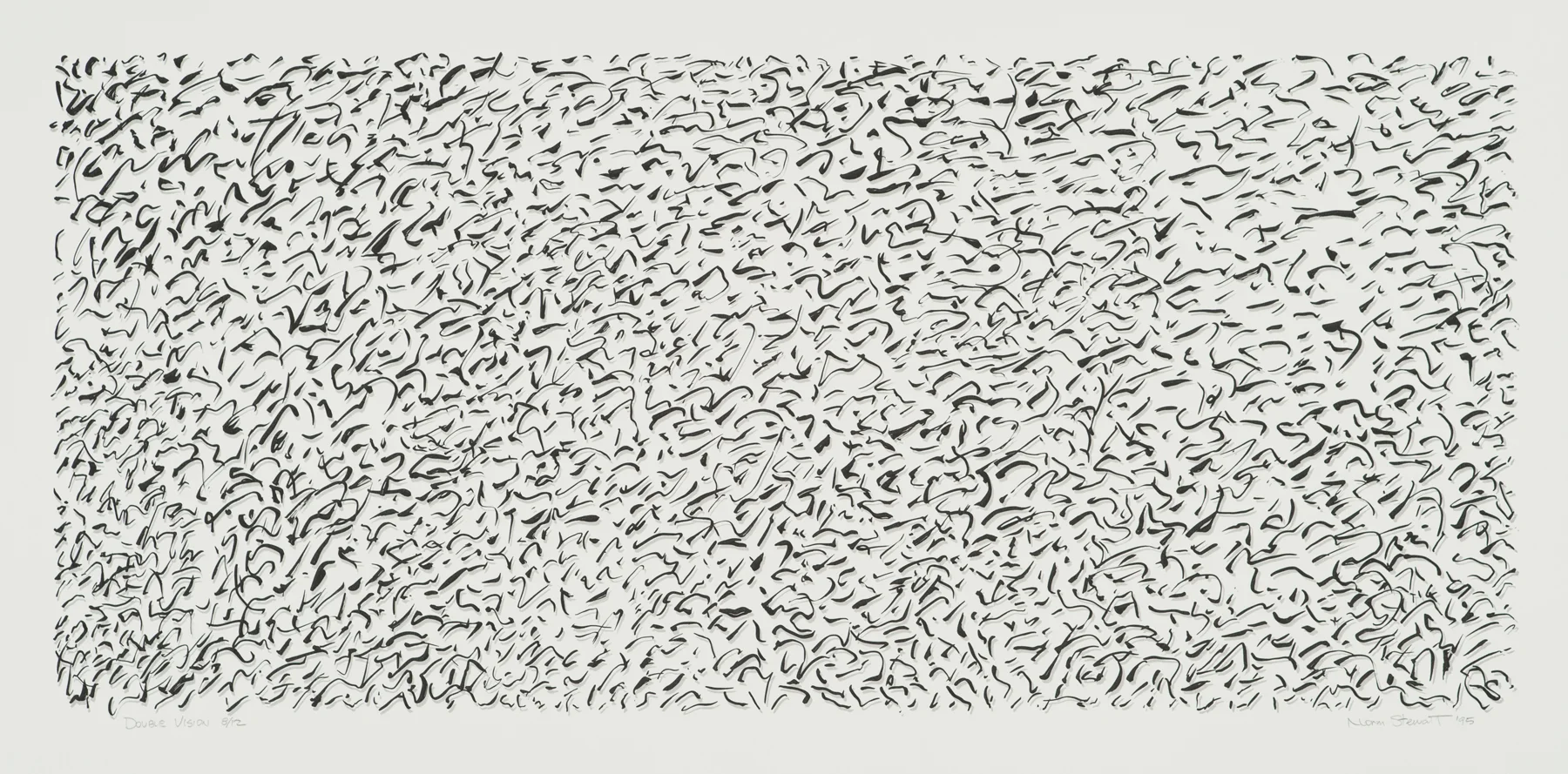 Double Vision 1995, 2-c screenprint, 21.25" x 41", ed: 12, $1000.