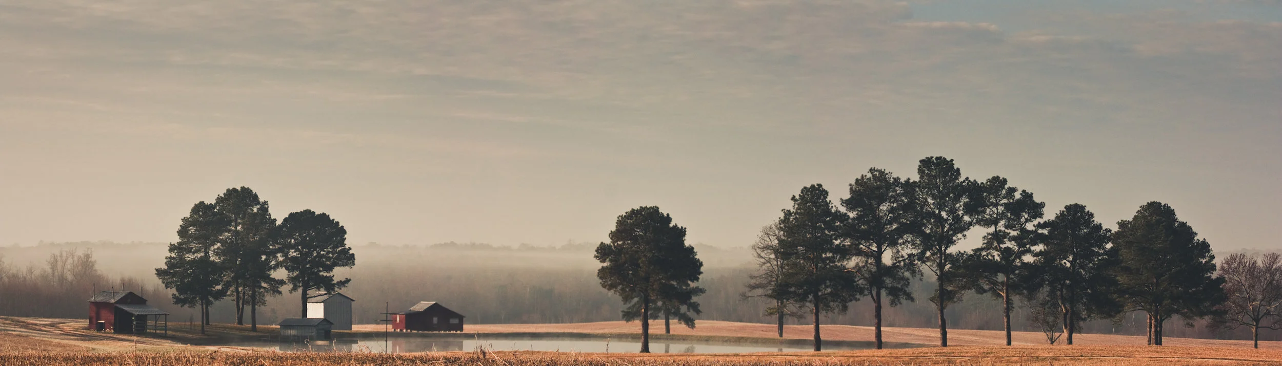 Carolina Morning
