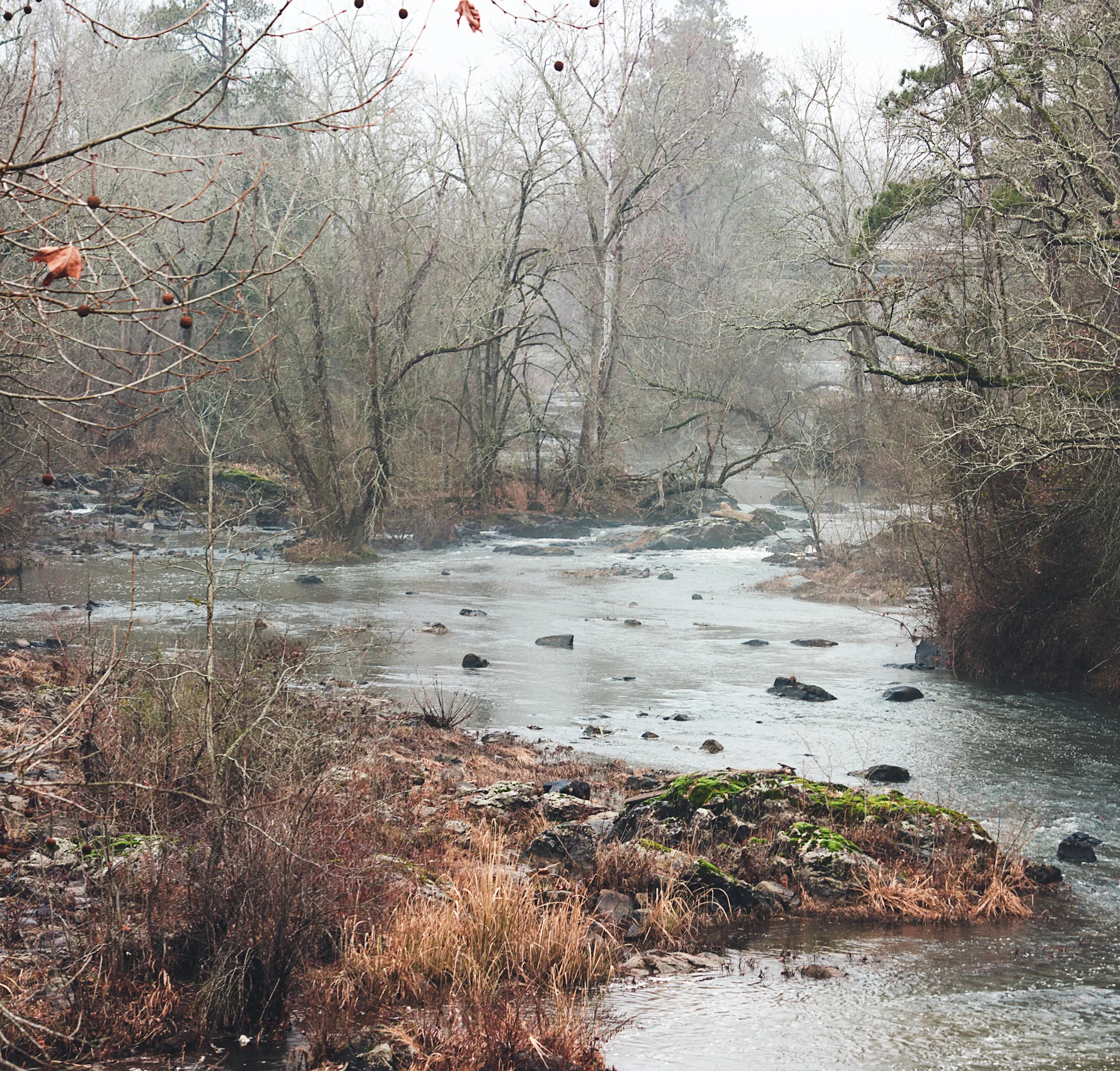 HawRiverFog.jpg