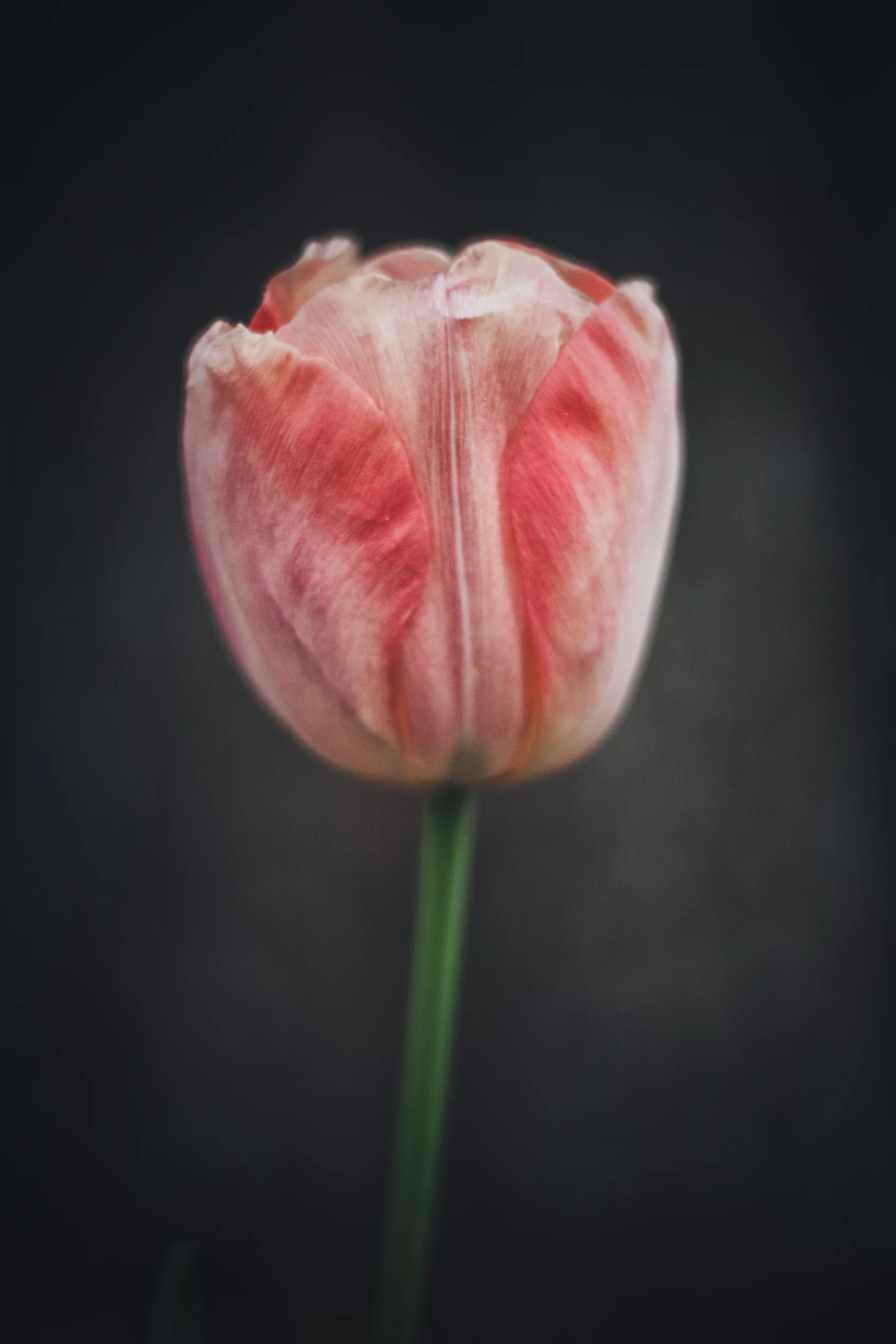 IMG_7896-Edit.jpg