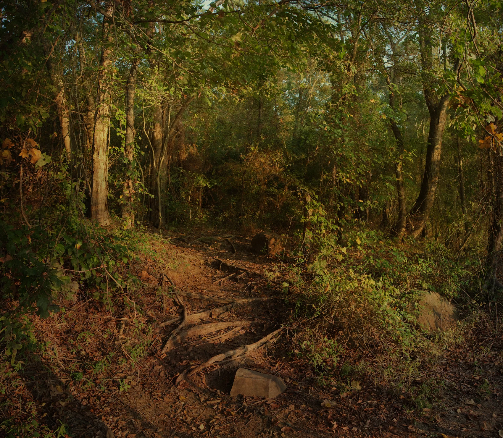 IMG_2383-Edit-3-Edit.jpg