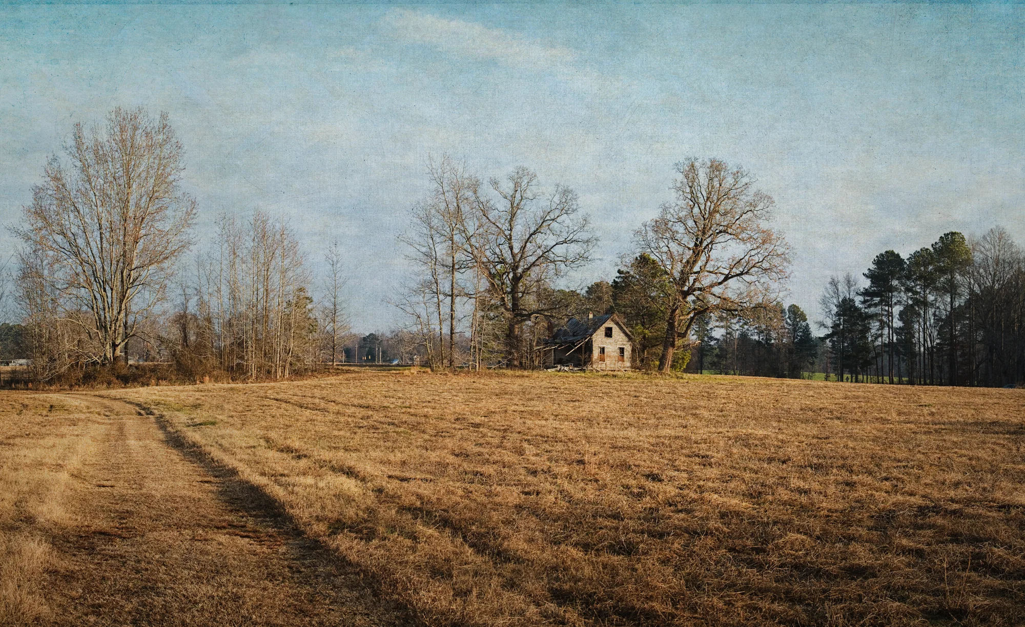 Winter Morning, Franklin County