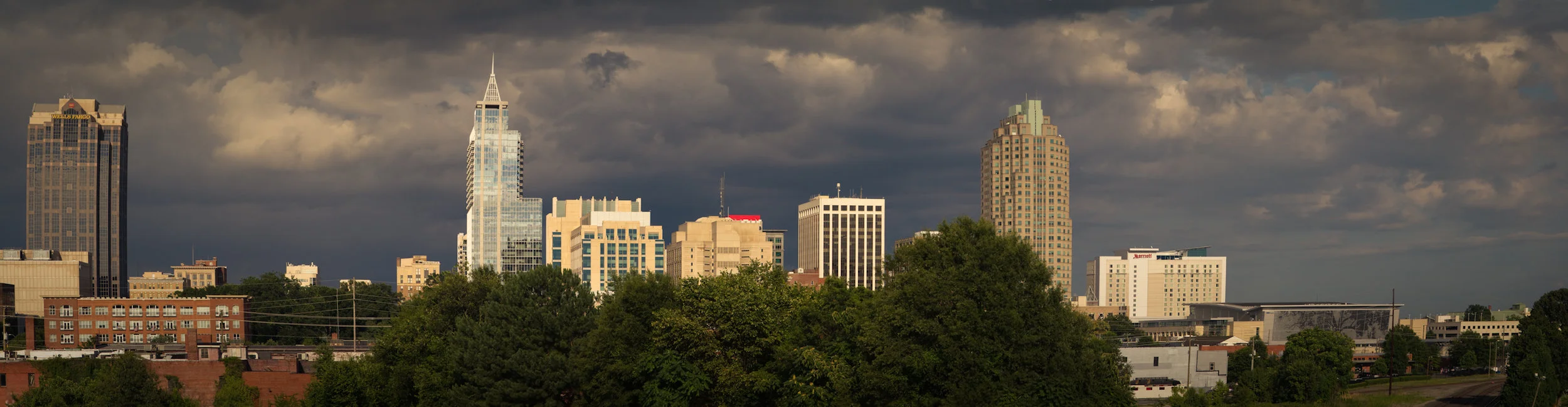 Raleigh Skyline