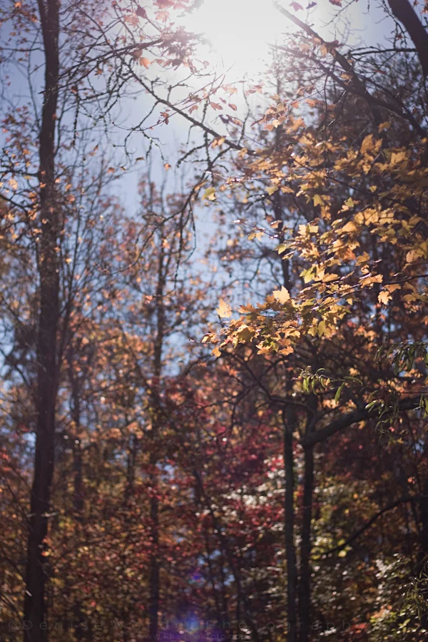2013-1110-november-img_5603.jpg