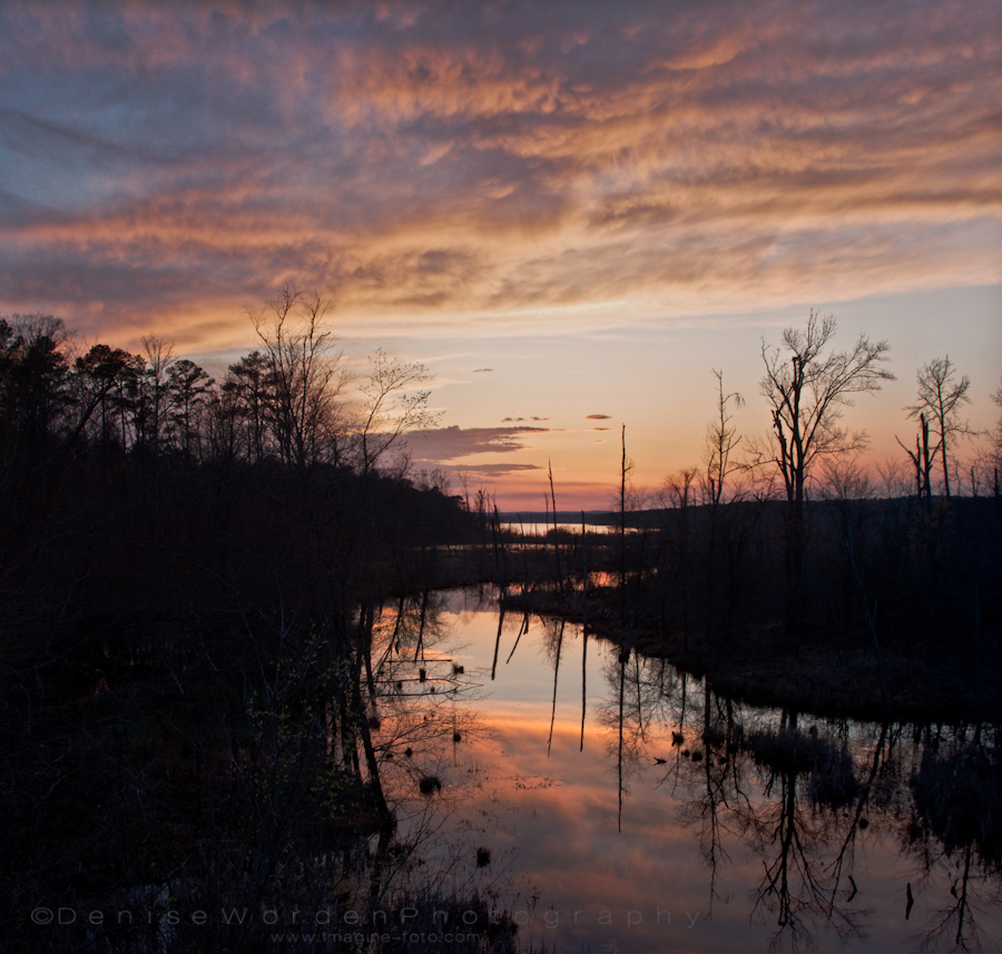 creekraw_panorama2.jpg