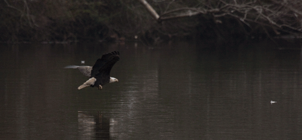 img_6761-2.gif