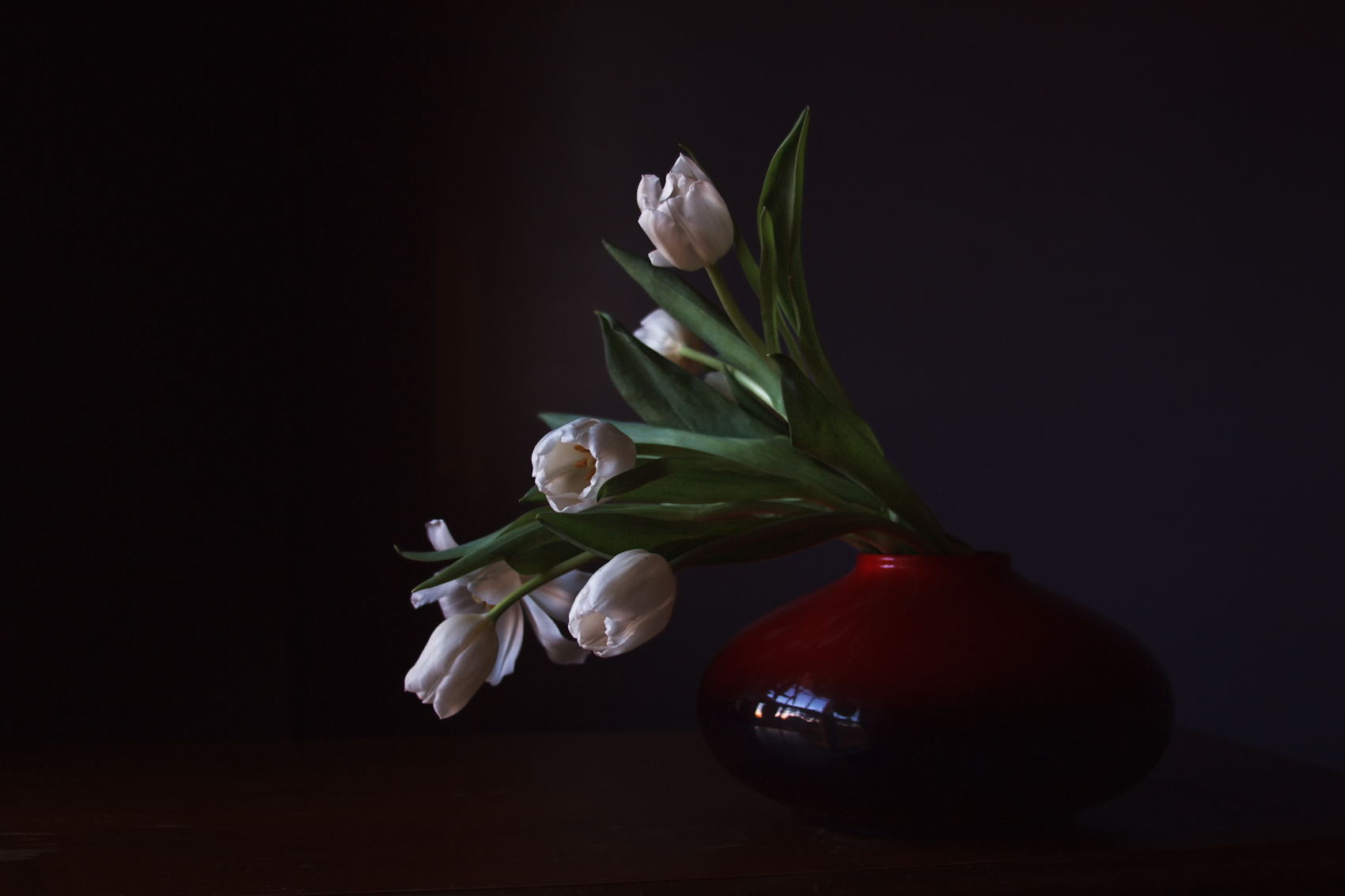 IMG_5457-Edit-3-Edit.jpg