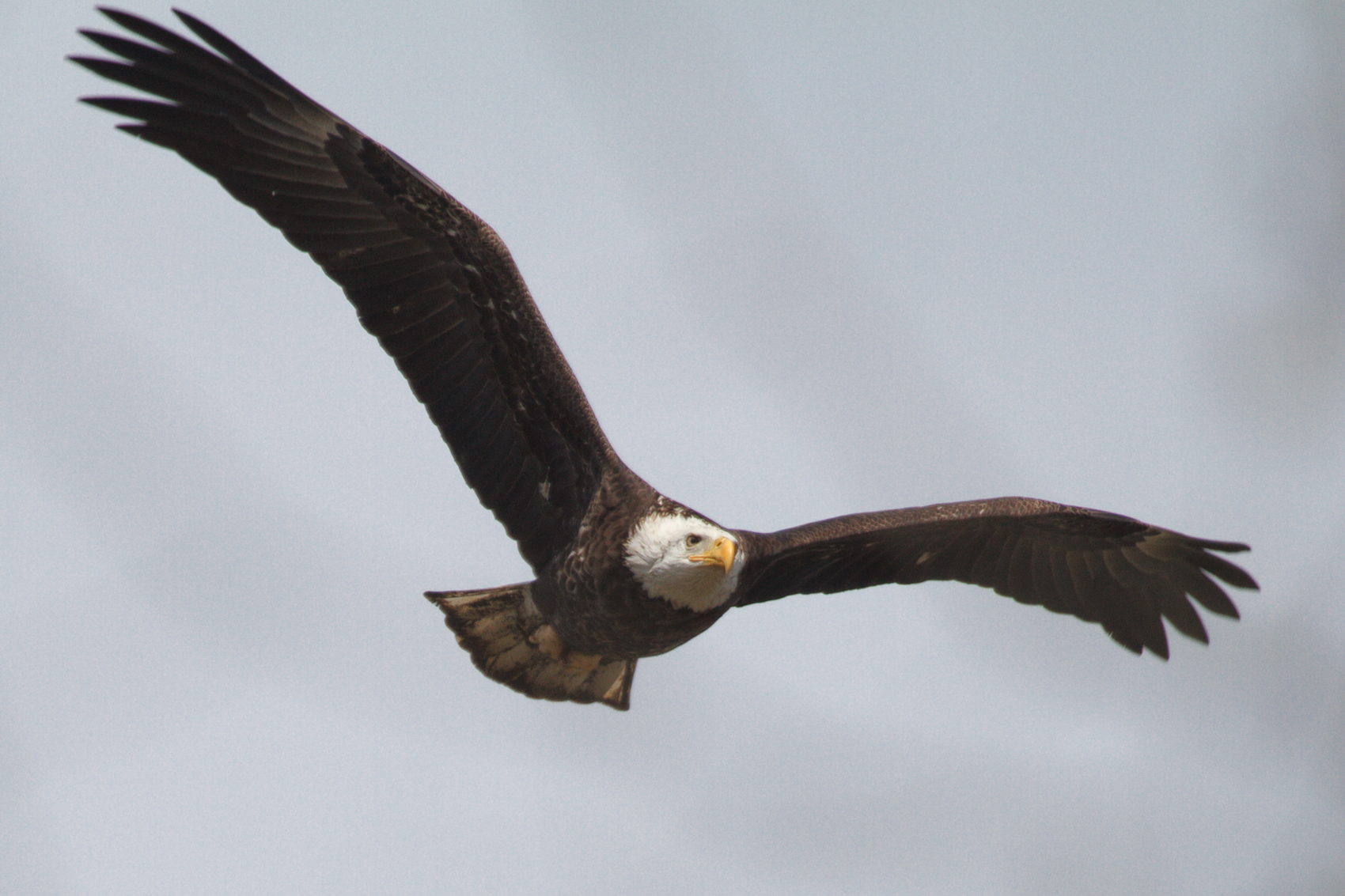 Flight 4