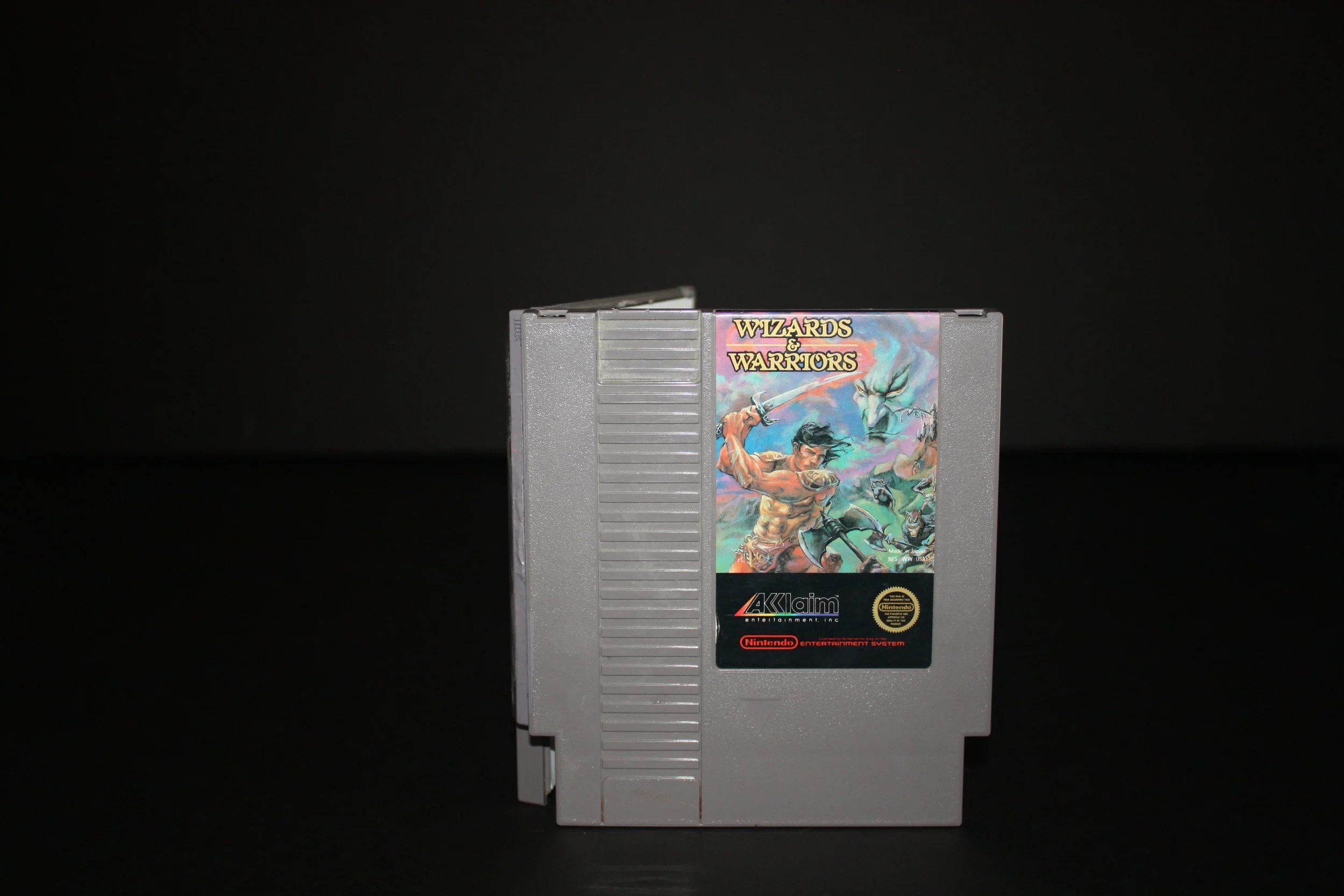 Wizards and Warriors