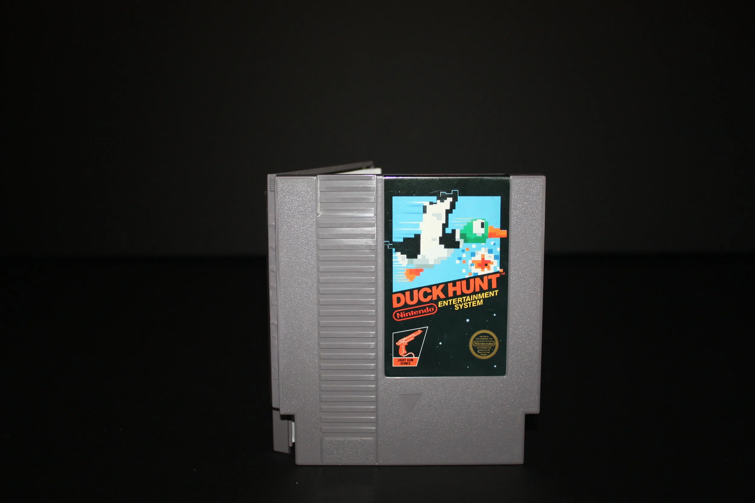 Duck Hunt
