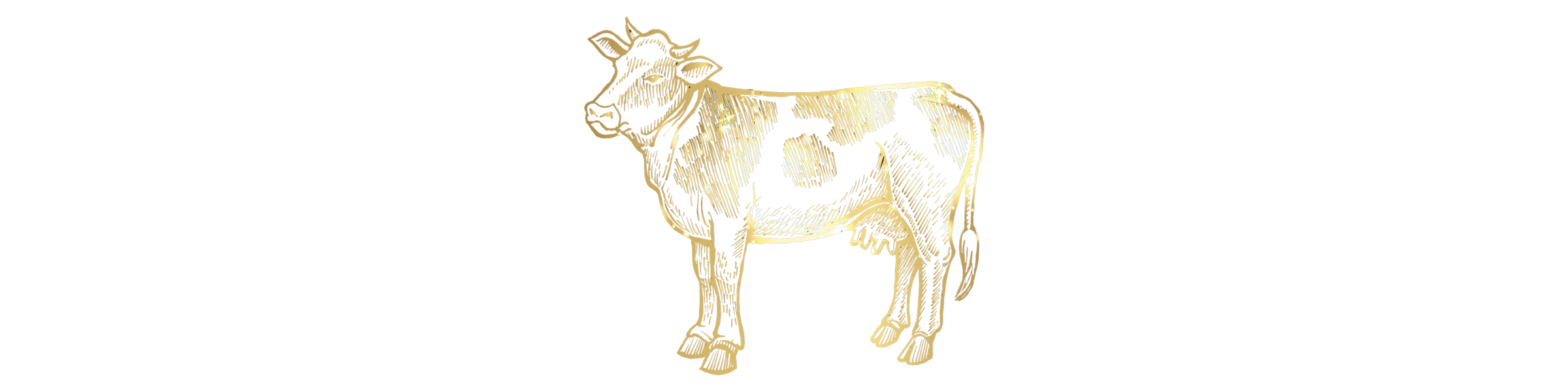 Cow.png