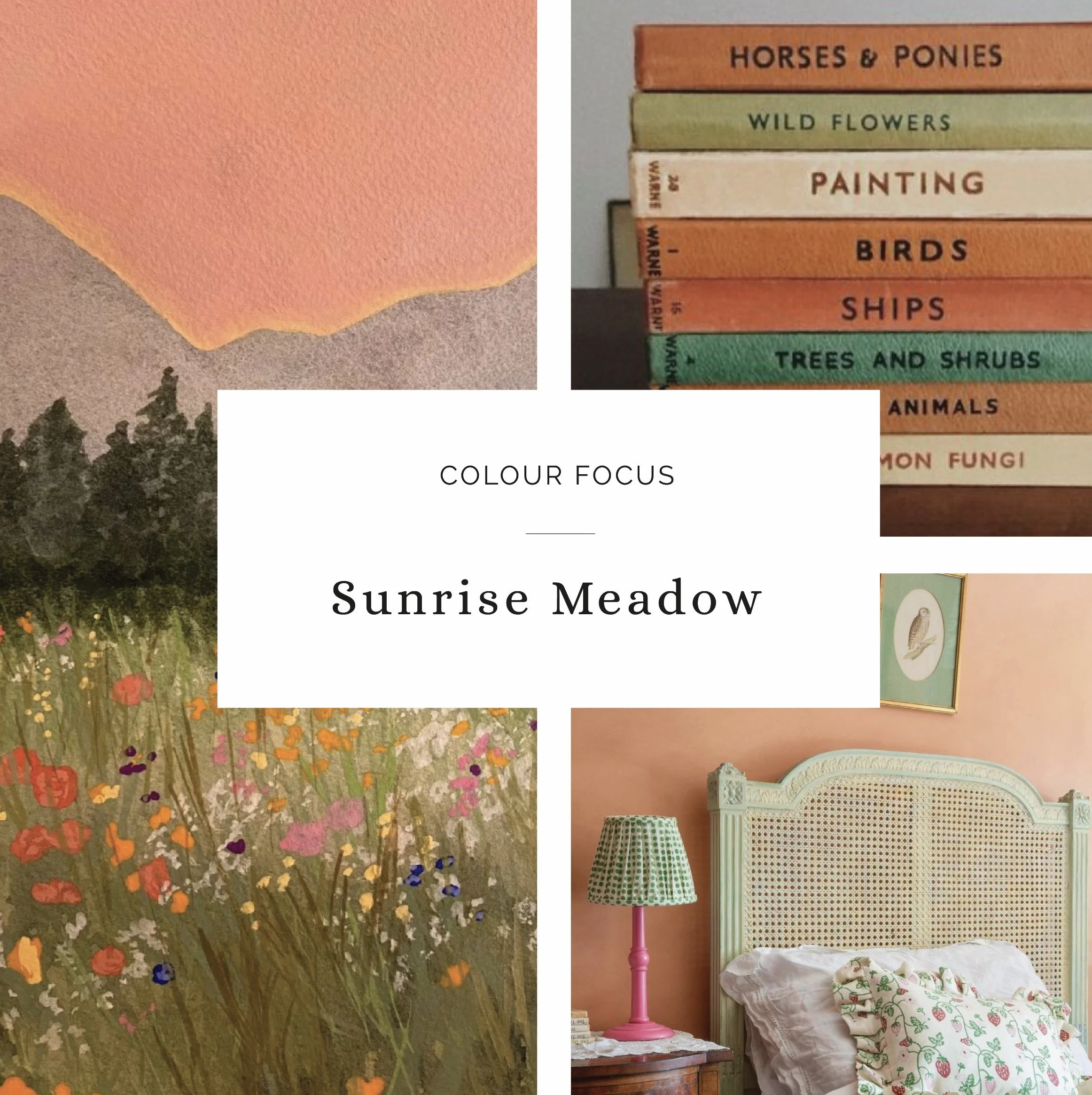 Colour Me Happy: Sunrise Meadow