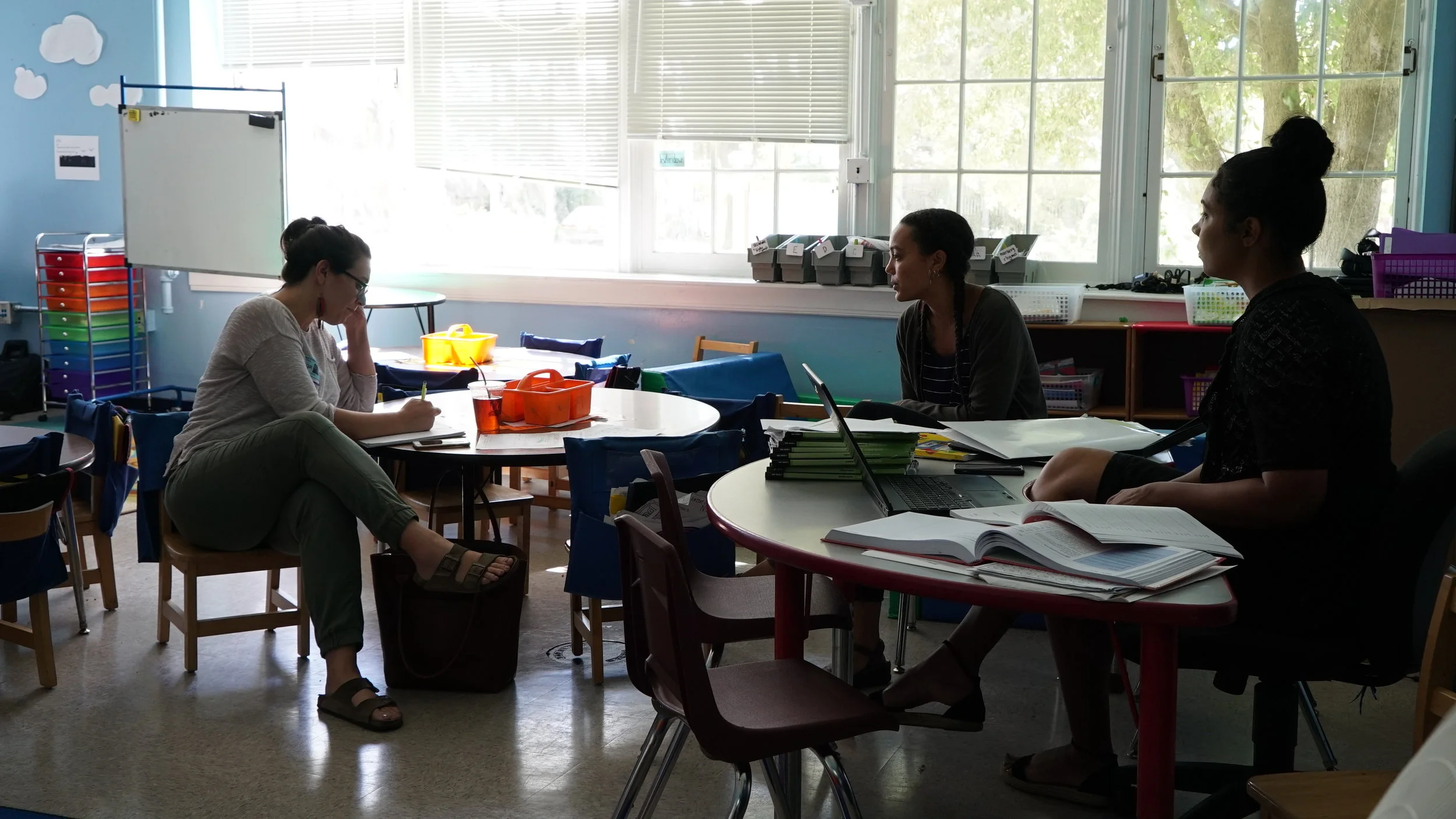 Understanding Our Mental Health Systems