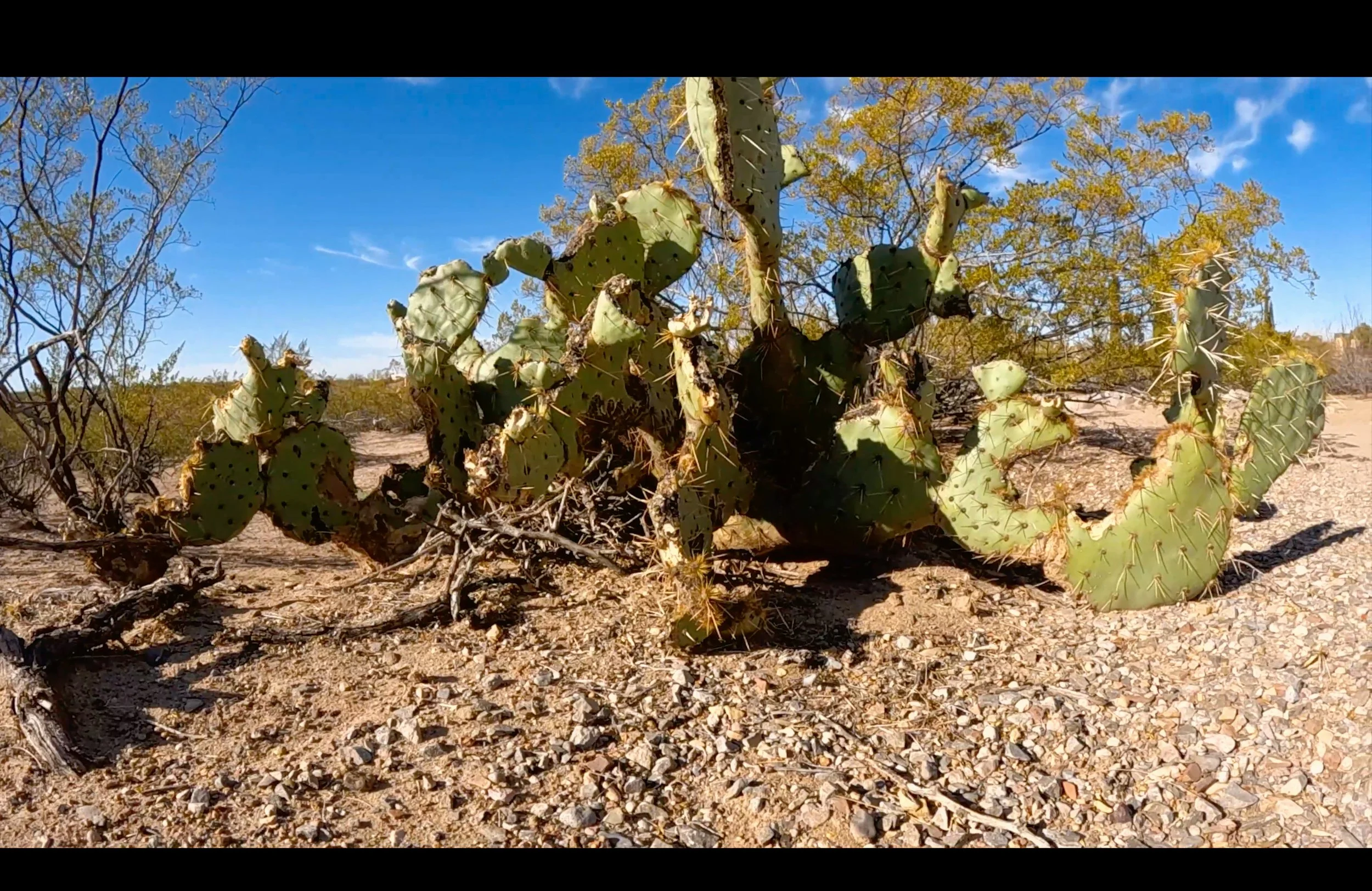 Screenshot 2024-12-05 at 9.30.39 AM.jpg