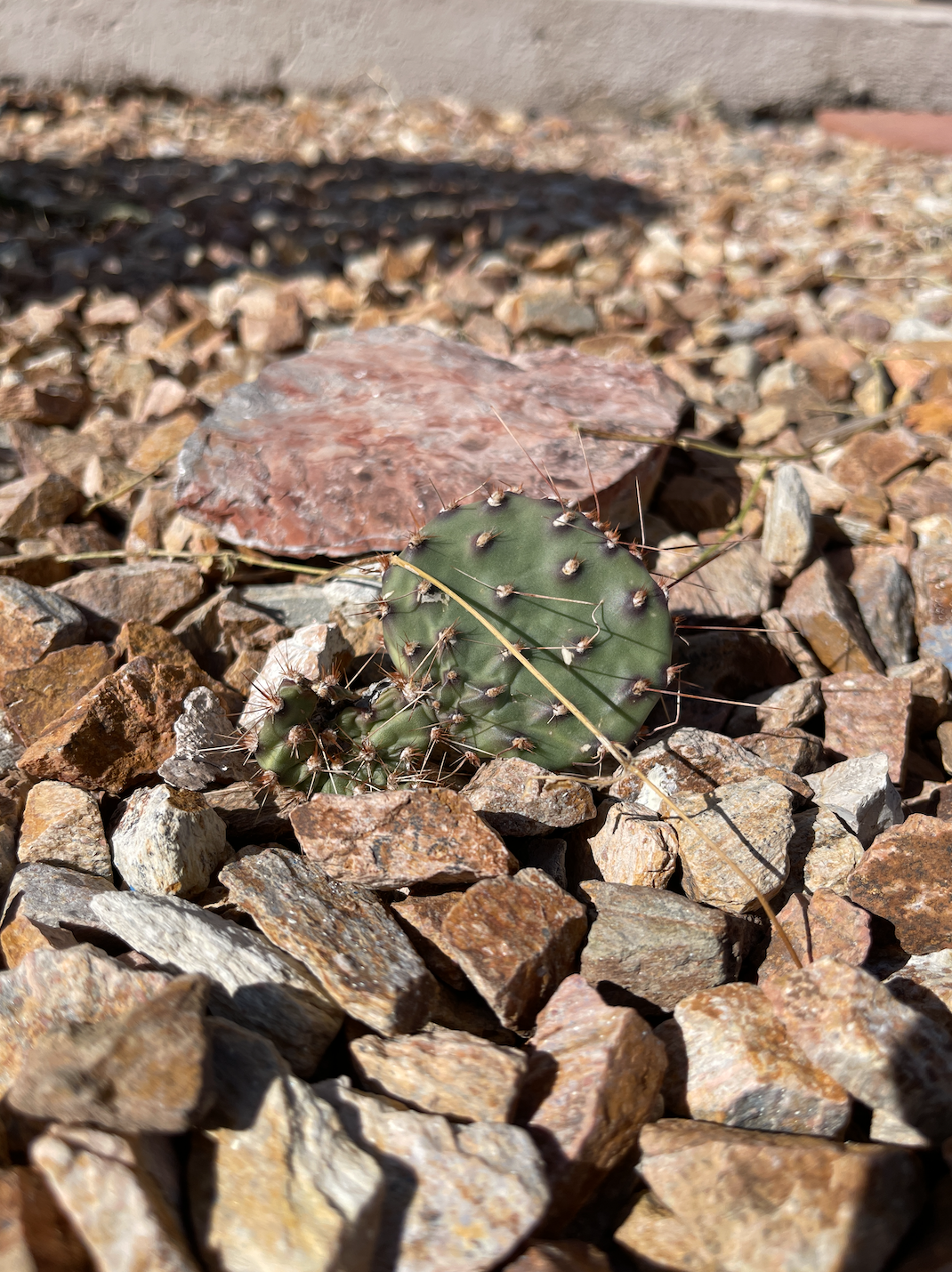 Screen Shot 2022-02-07 at 6.05.31 PM.png