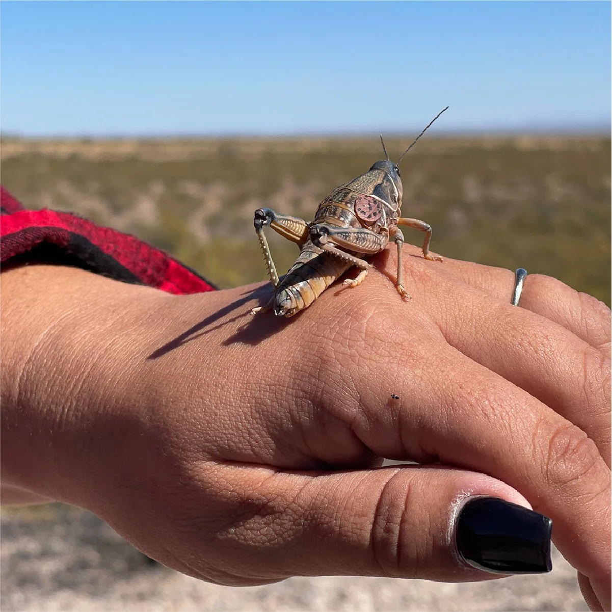 Puentes Reflection Post_25.jpg