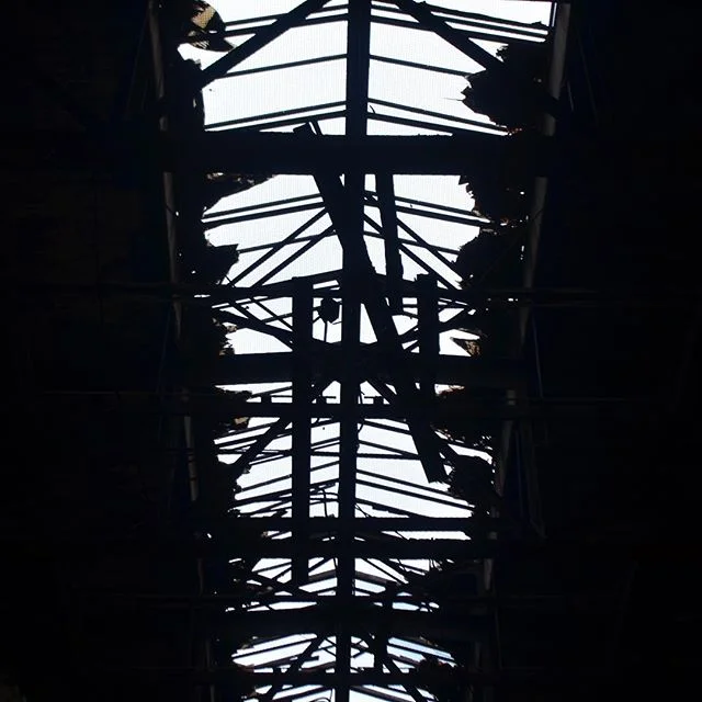 Silhouette Ceiling. Old Union Station, Gary, IN
----
#abandonedplaces #abandoned #urbanphotography #shadows #silhouette #ceiling #steelbeams #garyindiana #oldunionstation #rustbelt