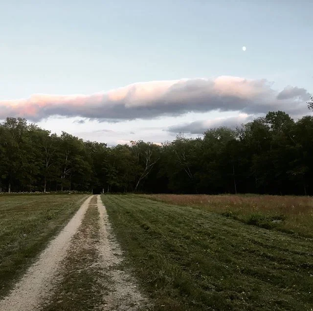 Evening in Sandwich -----
#sandwichnh #whitemountains #newhampshire #hiking #mountpasaconway #mountwhiteface #evening #trails #landscape