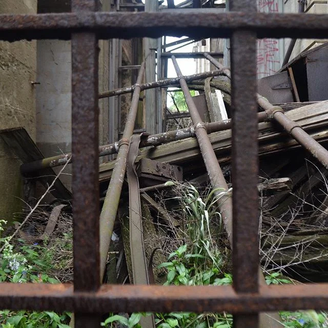 Rubbish. Gary, Indiana.
-----
#abandonedplaces #abandoned #garyindiana #steel #gate #overgrown #urbanphotography #oldunionstation #midwest #rustbelt #frameinframe