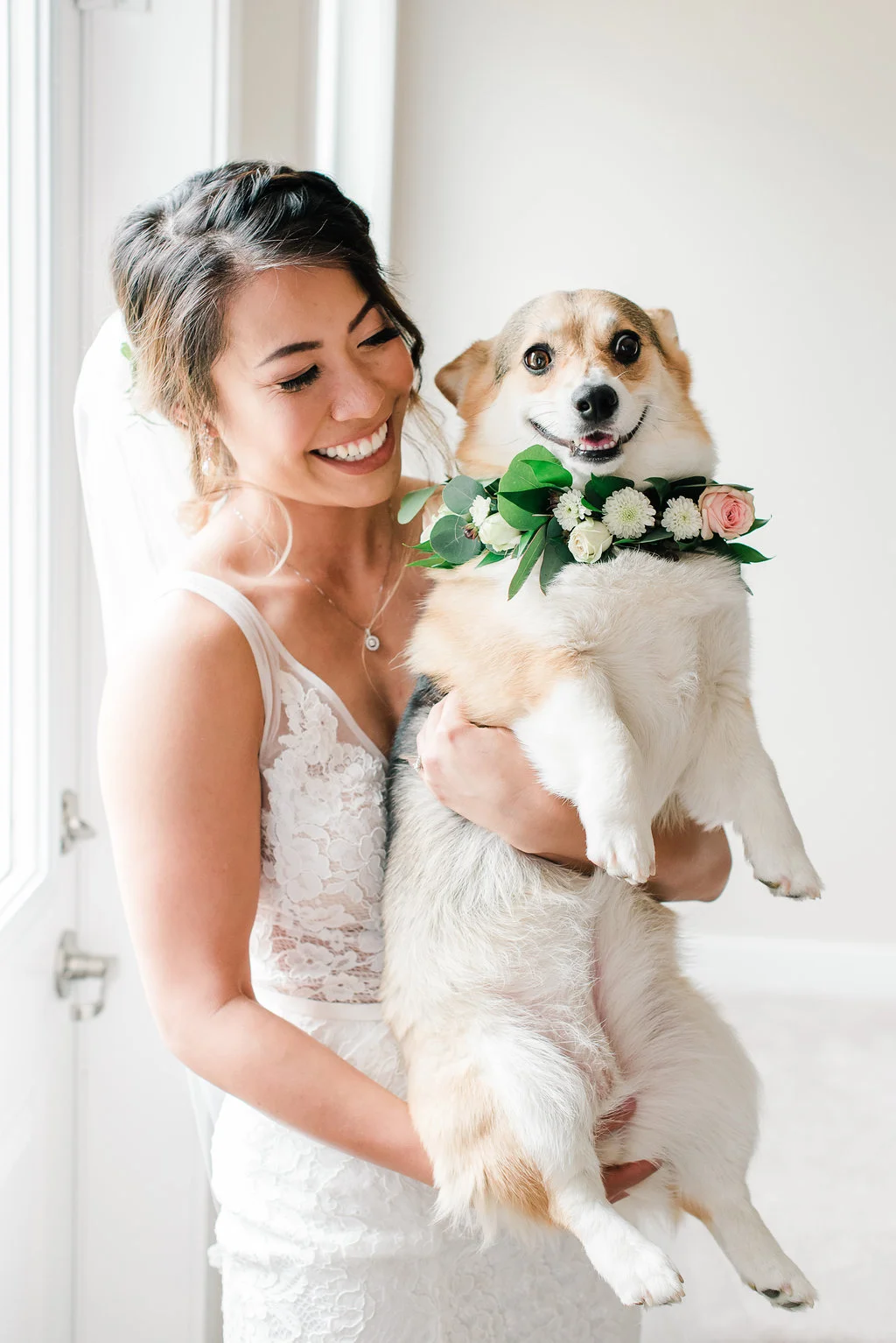 Floral Dog Collar - Calgary Wedding Florist - Kristyn Harder Photography.jpg