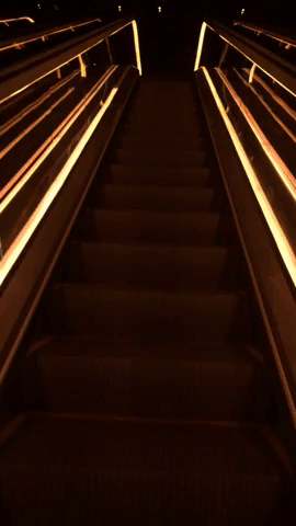 Public1.gif