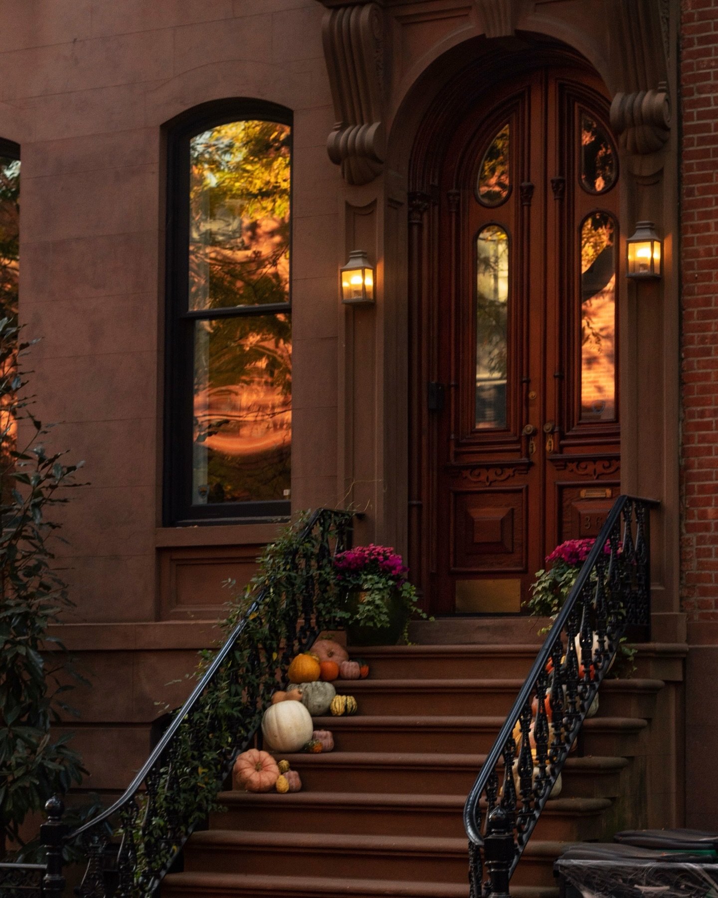 love a good fall stoop 🎃🍂🧡
.
.
.
#prettycitynewyork #ihavethisthingwithdoors #autumninnewyork #pursuepretty #petitejoys #brooklynheights