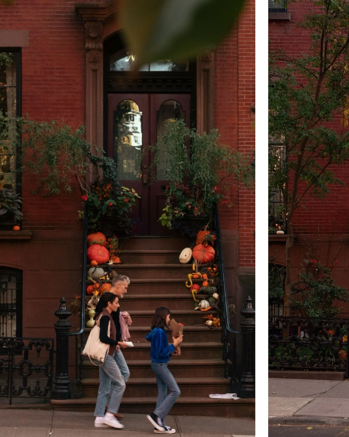 autumn in Brooklyn Heights 🍂🍁
.
.
.
#theartofnoticing #prettycitynewyork #brooklynheights #pursuepretty #petitejoys #autumninnewyork